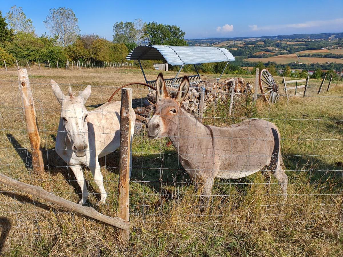 Appartamento Figuets 3 Chateauneuf-de-Galaure Esterno foto